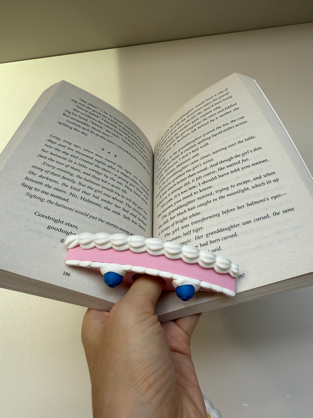 Cake Page Holder